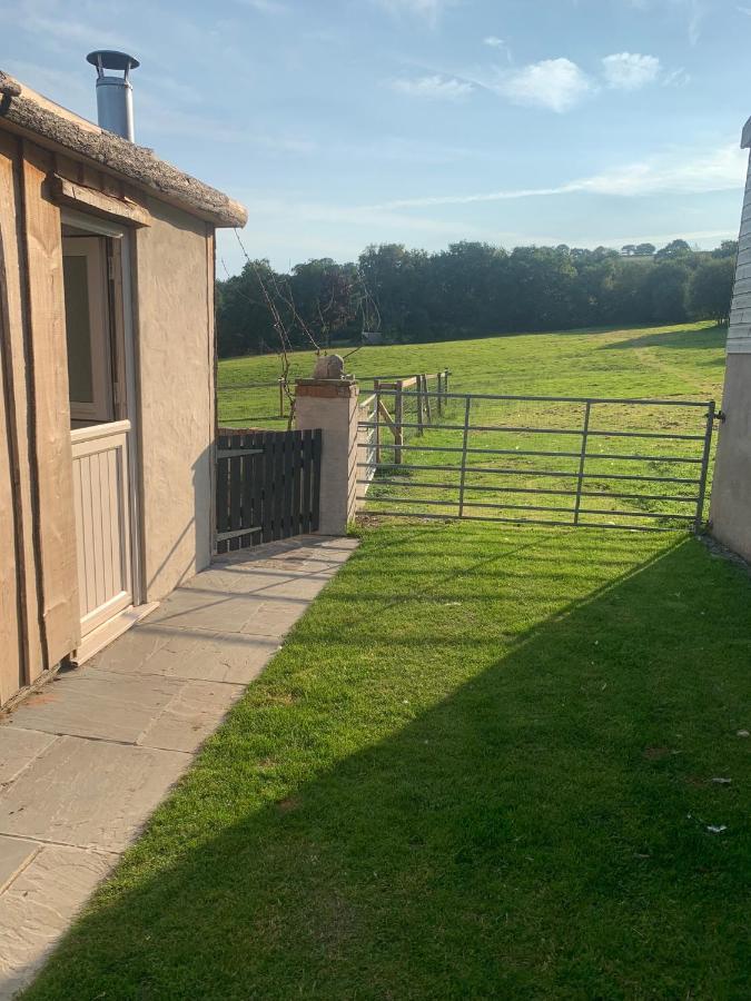 Molehill Lodge Swansea Esterno foto