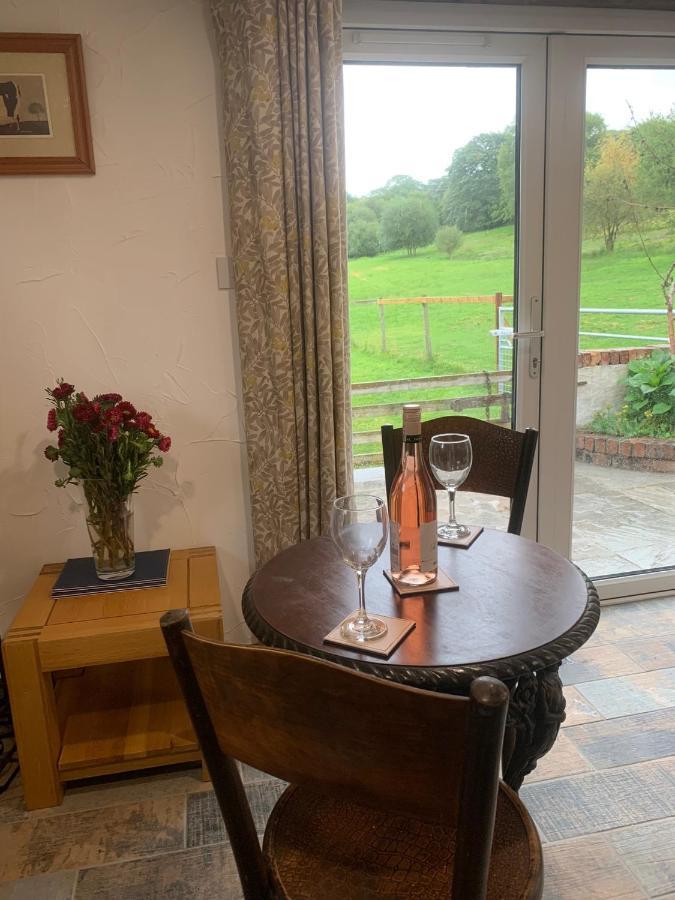 Molehill Lodge Swansea Esterno foto