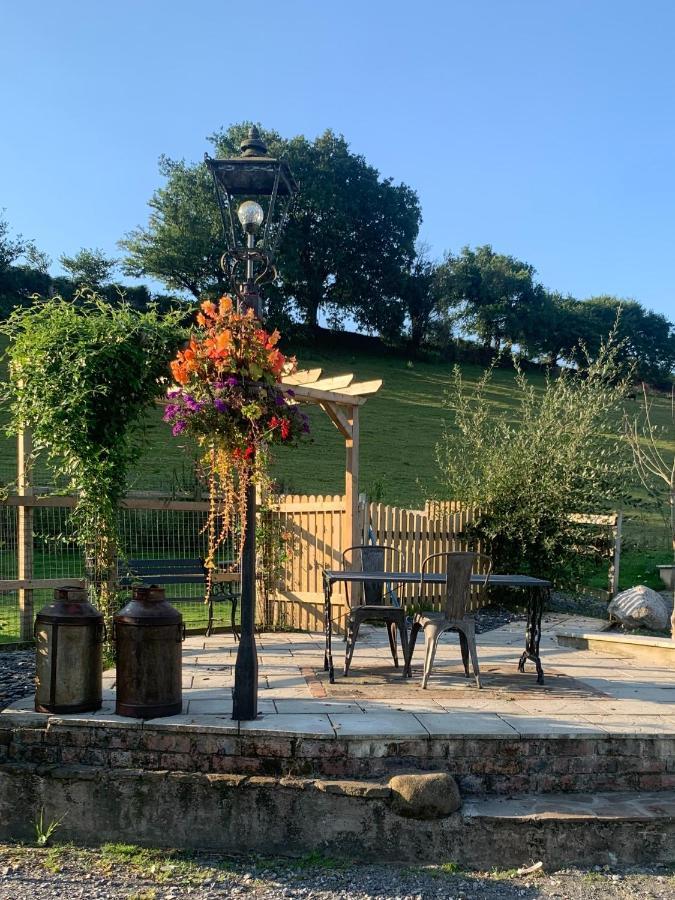 Molehill Lodge Swansea Esterno foto