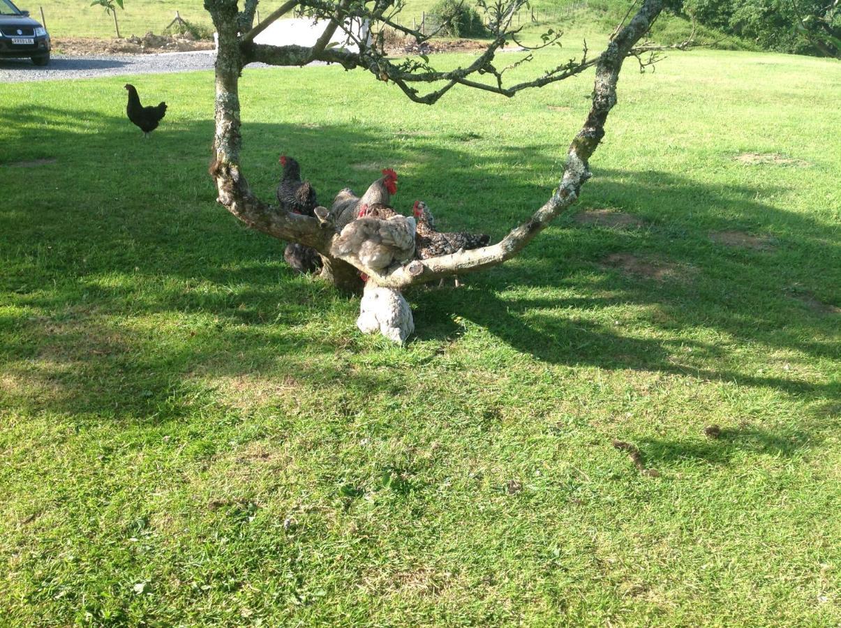 Molehill Lodge Swansea Esterno foto