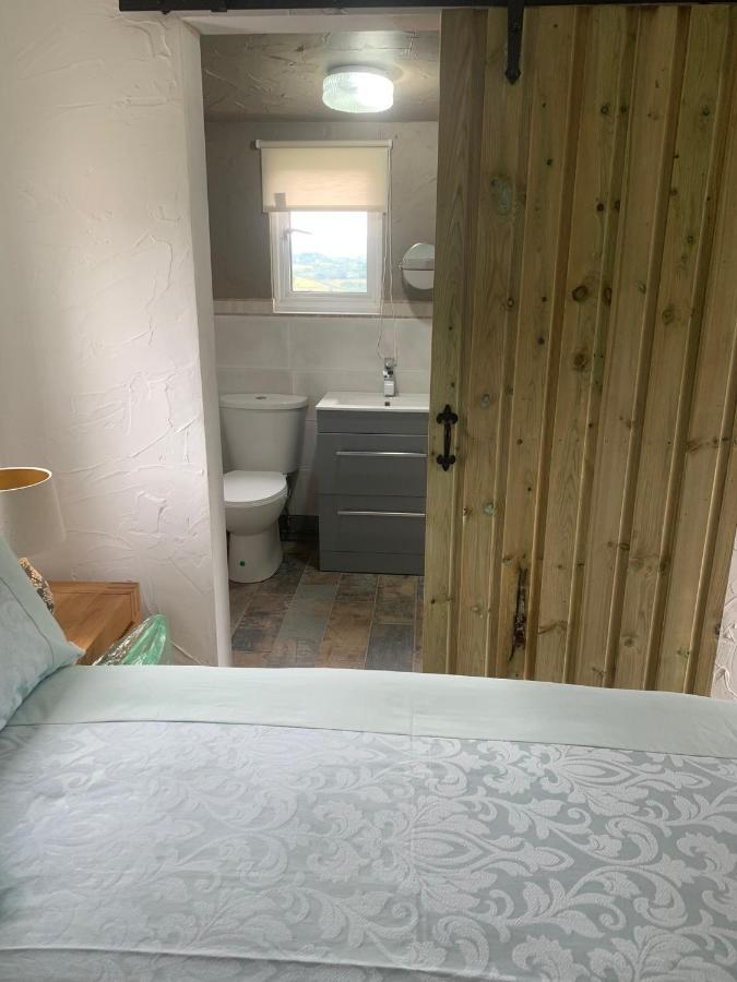 Molehill Lodge Swansea Esterno foto