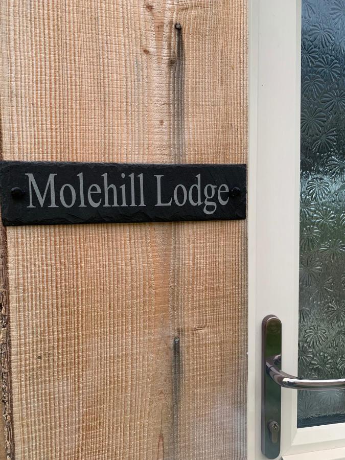 Molehill Lodge Swansea Esterno foto