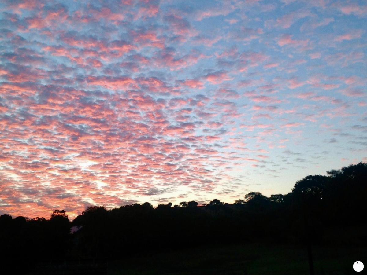 Molehill Lodge Swansea Esterno foto