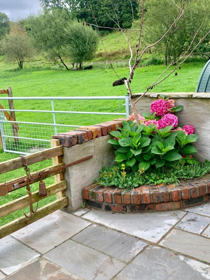 Molehill Lodge Swansea Esterno foto