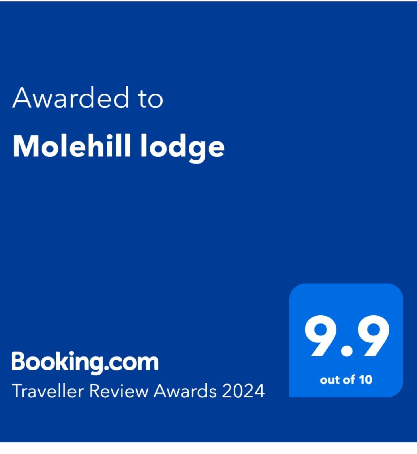 Molehill Lodge Swansea Esterno foto