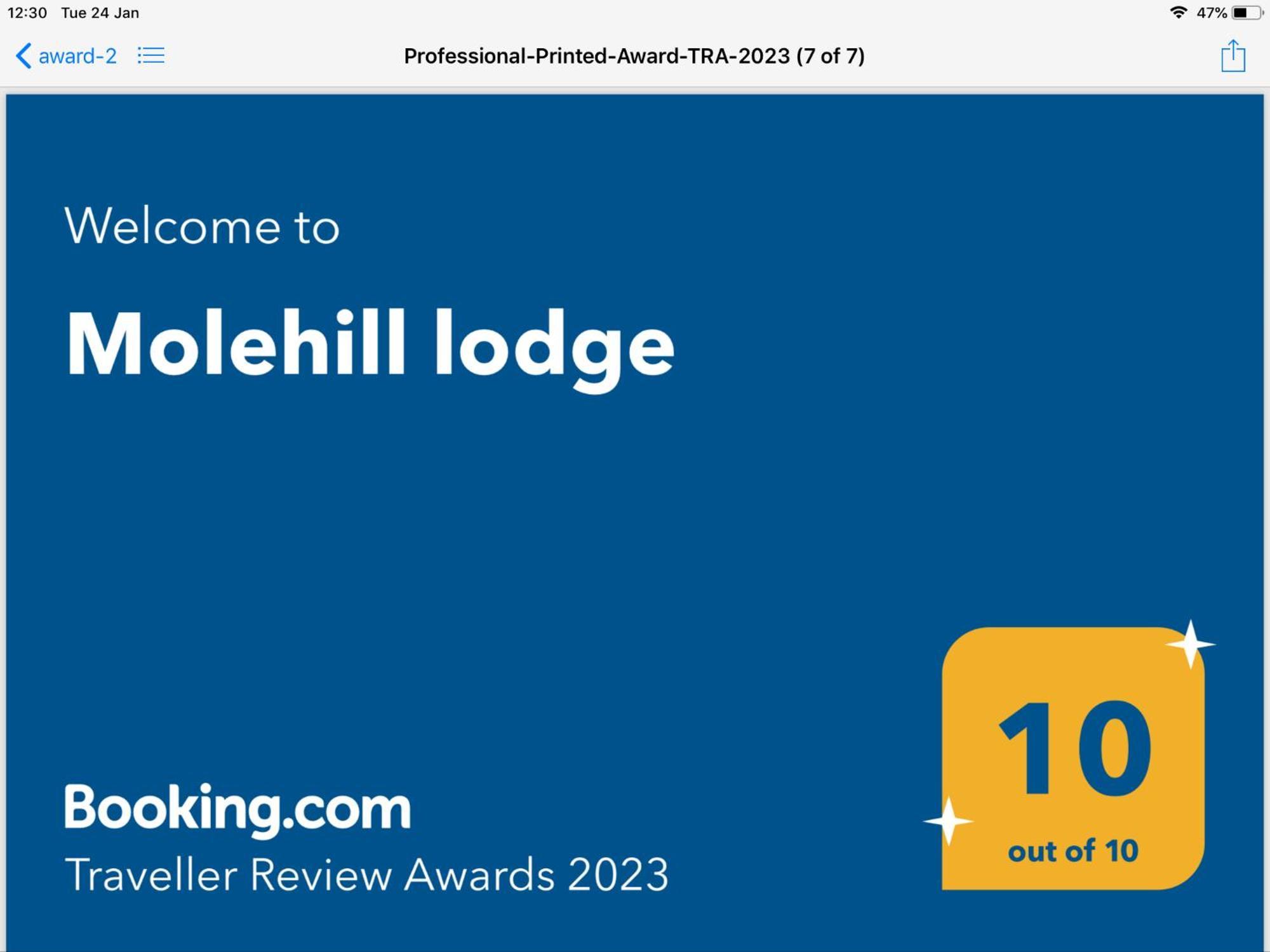 Molehill Lodge Swansea Esterno foto